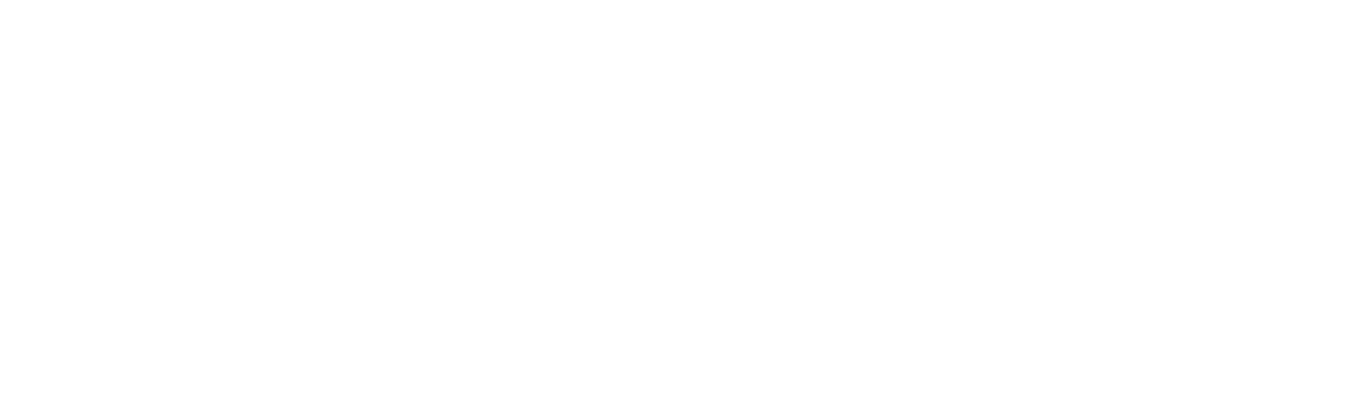 SKOPIA — Vigilância Urbana Integrada
